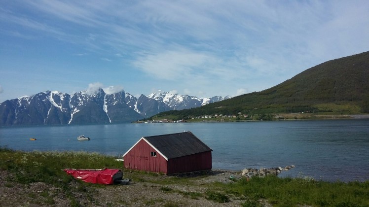 20150715_123209.jpg image