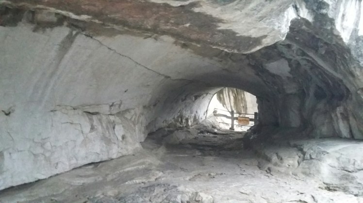 20150925_174953.jpg image