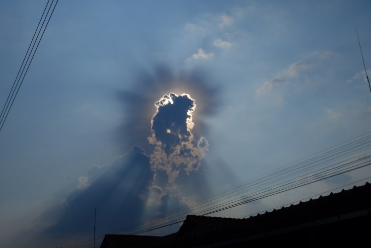 DSC09471_1.JPG image