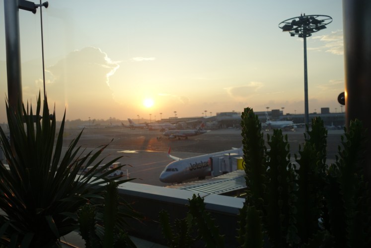 DSC01708_1.JPG image