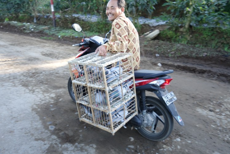 DSC02647_1.JPG image