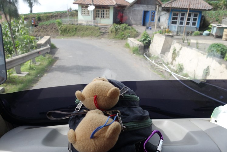 DSC03702.JPG image