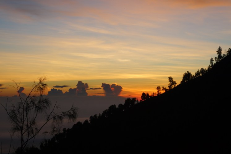 DSC03860.JPG image